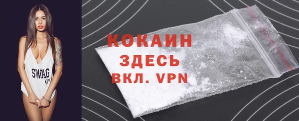 первитин Каменка