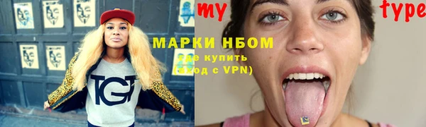 прущие грибы Каменск-Шахтинский