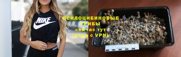 бутират Зеленокумск