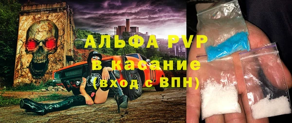 прущие грибы Каменск-Шахтинский