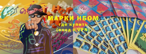 прущие грибы Каменск-Шахтинский