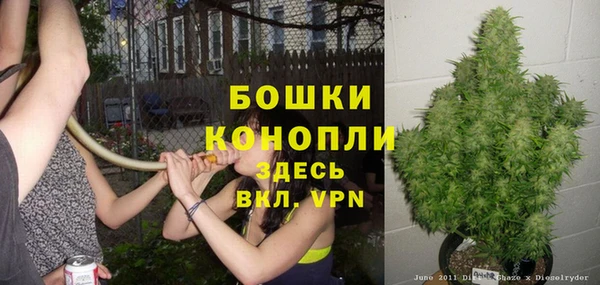 спайс Каменногорск