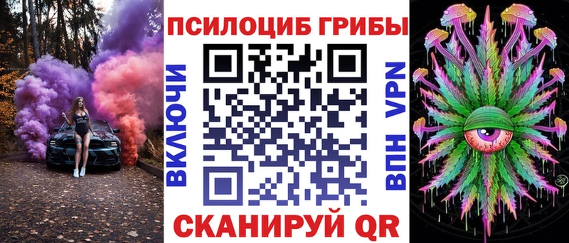 hydra ссылки  Ковдор  Псилоцибиновые грибы мицелий 